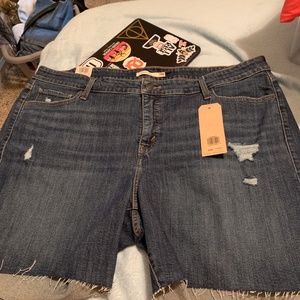 Levi Shorts and Lane Bryant shorts